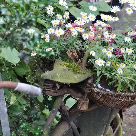 Ferienhof & Laurenz 그로나우