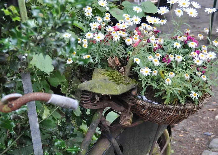 Ferienhof & Laurenz Gronau (Westfalen)